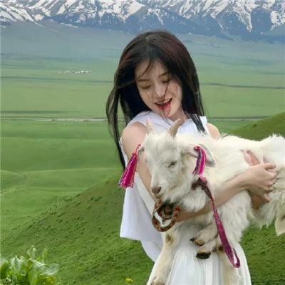 帕顿·奥斯瓦尔特:尖叫有理